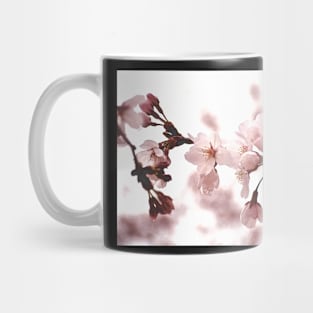 DC Cherry Blossoms Mug